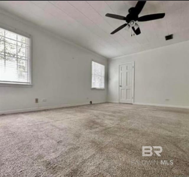 empty room with crown molding, carpet floors, and ceiling fan