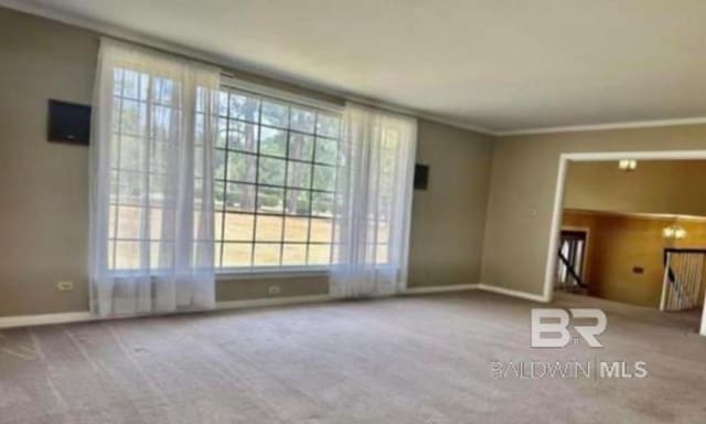 unfurnished room with carpet floors, ornamental molding, and plenty of natural light