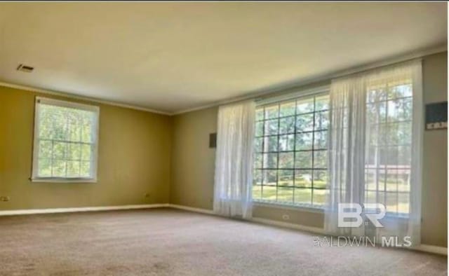 empty room with crown molding and carpet floors