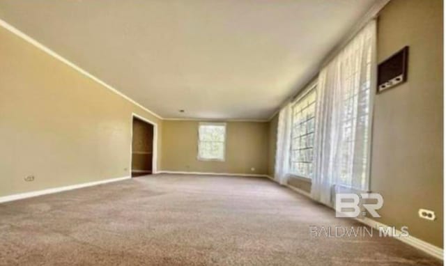 carpeted empty room featuring ornamental molding