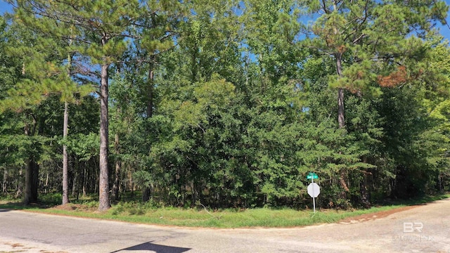 1 Harris St, Atmore AL, 36502 land for sale