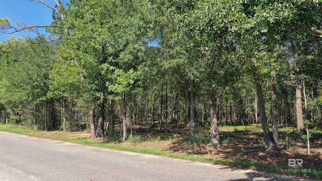 Listing photo 2 for 1 Harris St, Atmore AL 36502