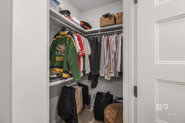 spacious closet featuring carpet flooring