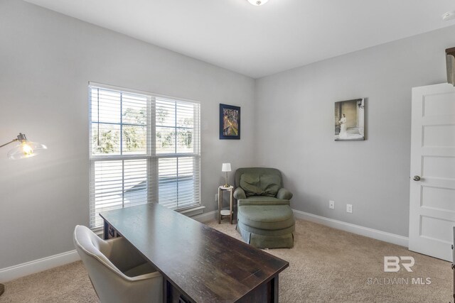 home office featuring light colored carpet