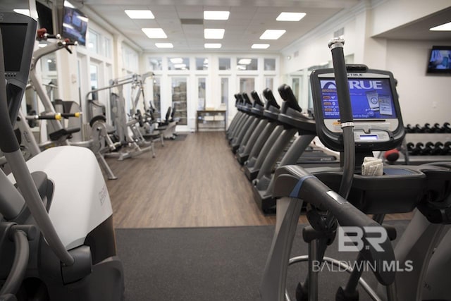 exercise room with hardwood / wood-style flooring and a drop ceiling