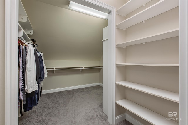 walk in closet with dark carpet