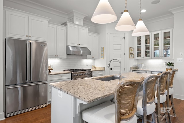 kitchen featuring crown molding, high quality appliances, a sink, glass insert cabinets, and under cabinet range hood