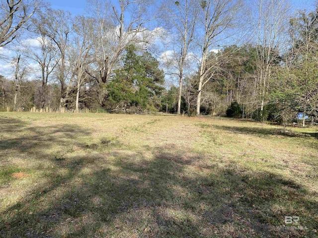 Listing photo 3 for 45640 Old Carney Rd, Bay Minette AL 36507