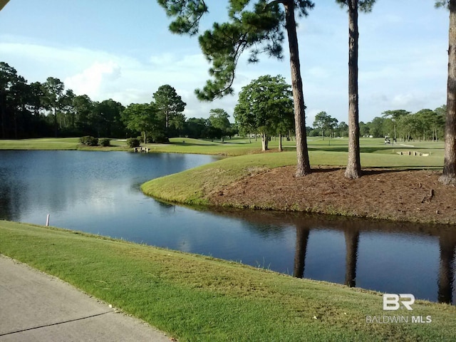 view of water feature