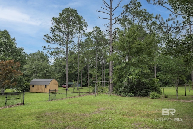 view of yard with a storage shed