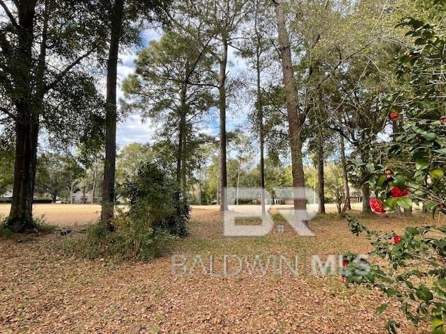 114 Dewitt Cir, Daphne, AL 36526 - view of yard