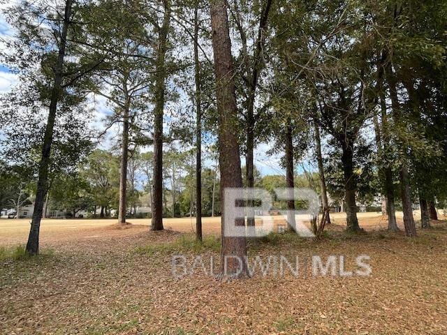114 Dewitt Cir, Daphne, AL 36526 - exterior space