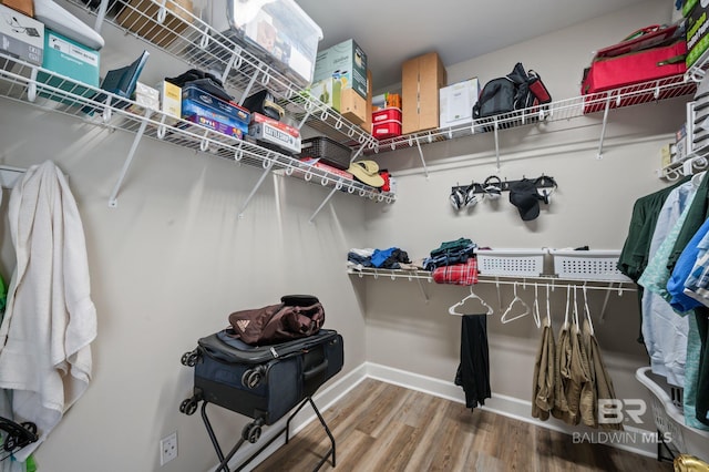 16520 Gaineswood Dr, Fairhope, AL 36532 - walk in closet featuring wood finished floors