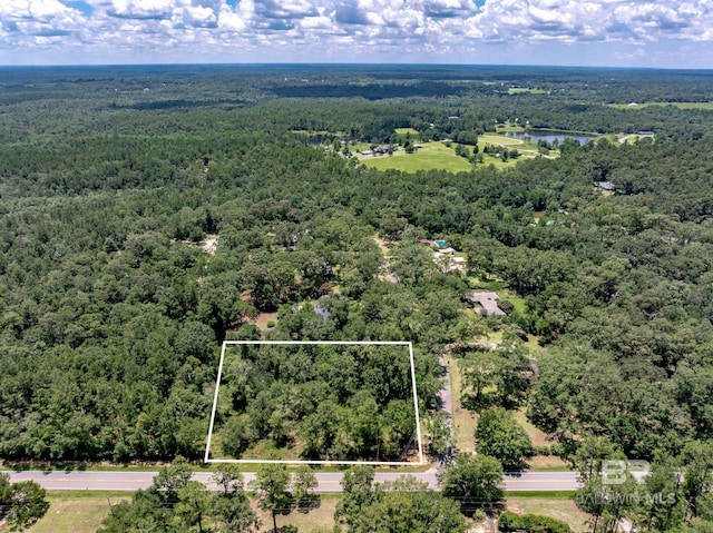 0 Lac Rd, Bay Minette AL, 36507 land for sale