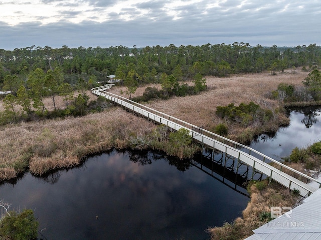 aerial view featuring a water view and a view of trees