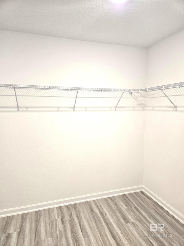 spacious closet featuring hardwood / wood-style flooring