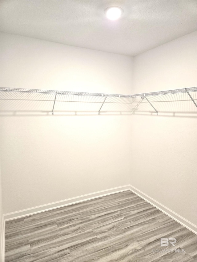 spacious closet with hardwood / wood-style floors