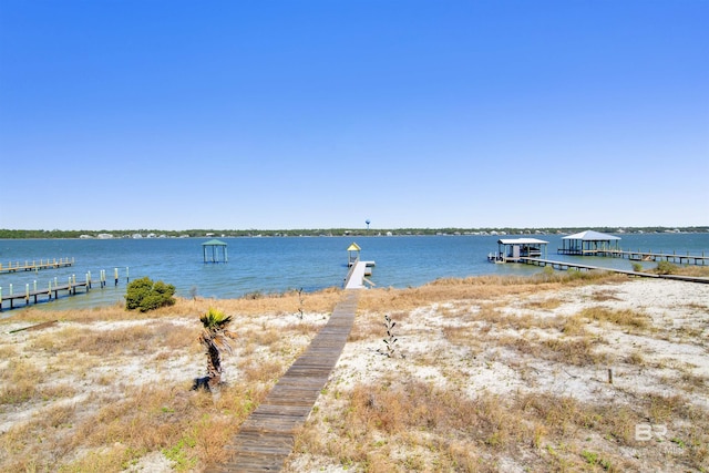 dock area with a water view