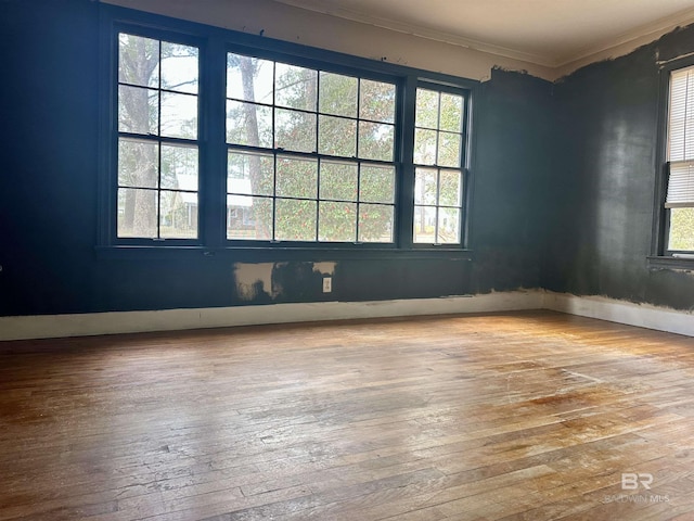 spare room with baseboards, wood finished floors, and crown molding