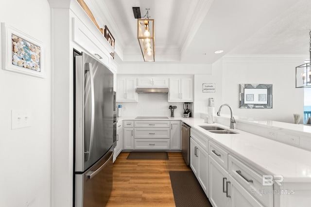 kitchen featuring appliances with stainless steel finishes, ornamental molding, a sink, wood finished floors, and under cabinet range hood