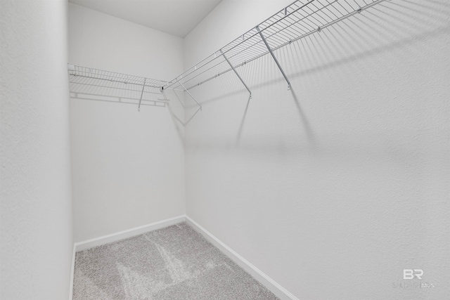 16770 Prado Loop, Loxley, AL 36551 - walk in closet with carpet floors