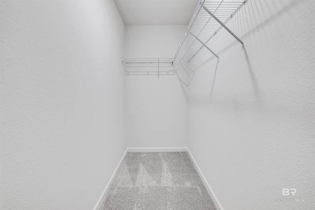 16770 Prado Loop, Loxley, AL 36551 - walk in closet with carpet floors