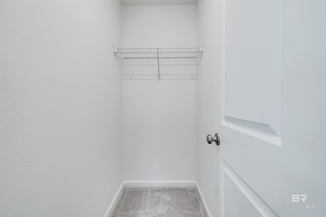 16770 Prado Loop, Loxley, AL 36551 - spacious closet with carpet