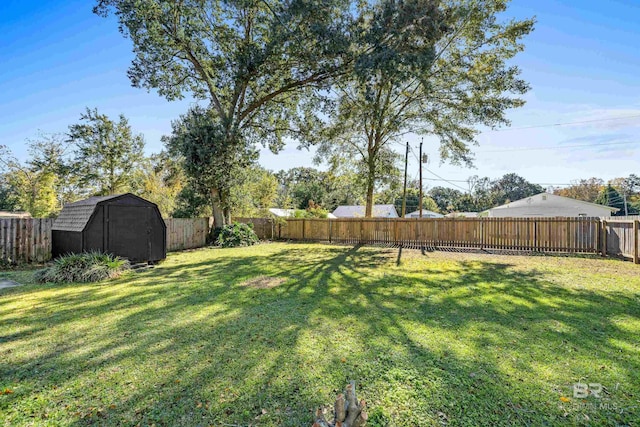 view of yard with a shed