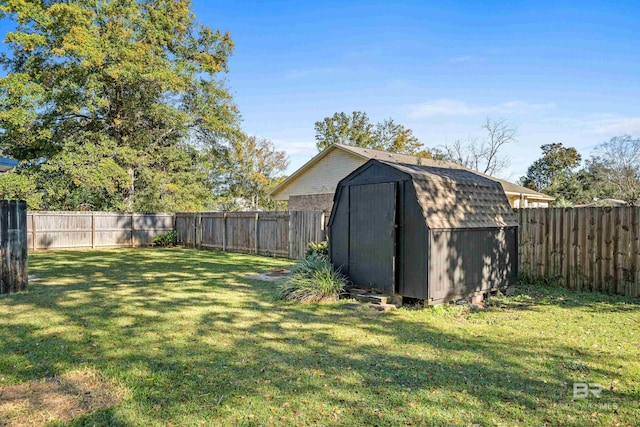 view of yard with a shed