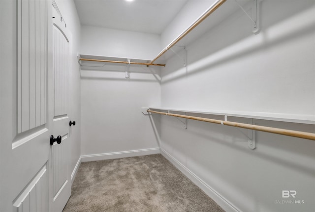 walk in closet featuring carpet