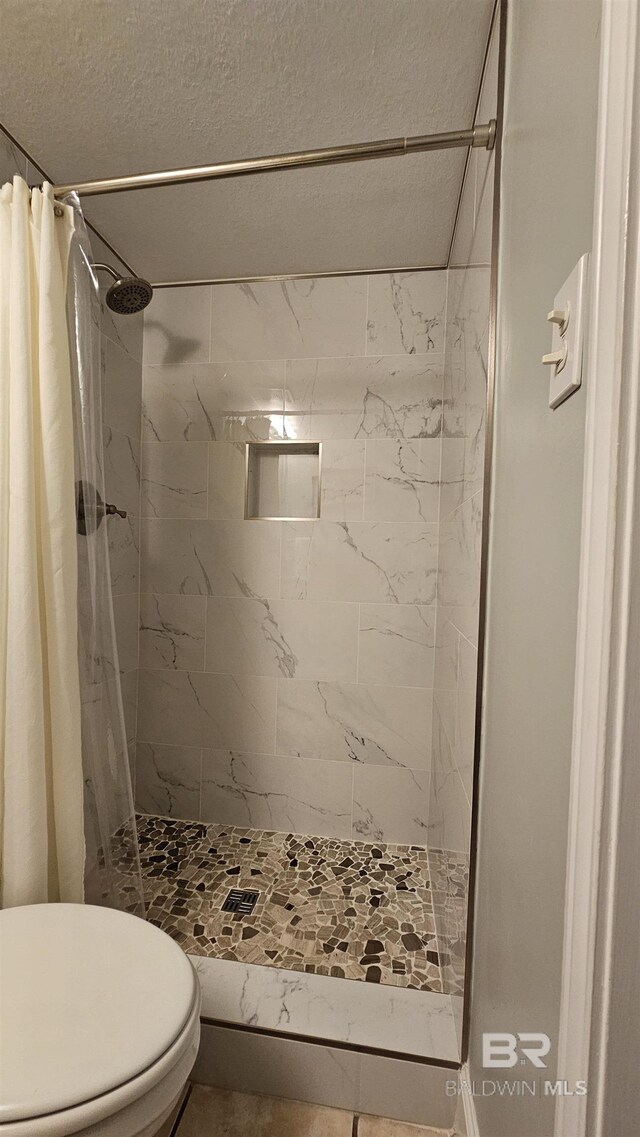24568 Perdido Beach Blvd Unit 102, Orange Beach, AL 36561 - full bathroom with a stall shower, toilet, and a textured ceiling