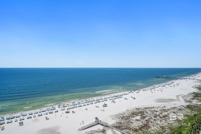 water view with a view of the beach