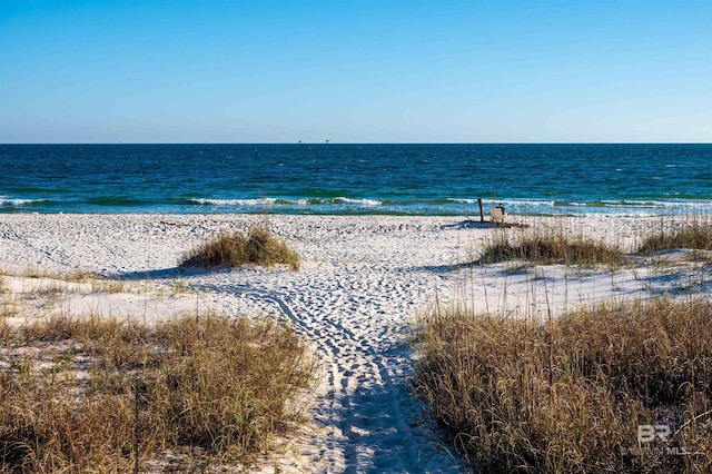 property view of water featuring a beach view