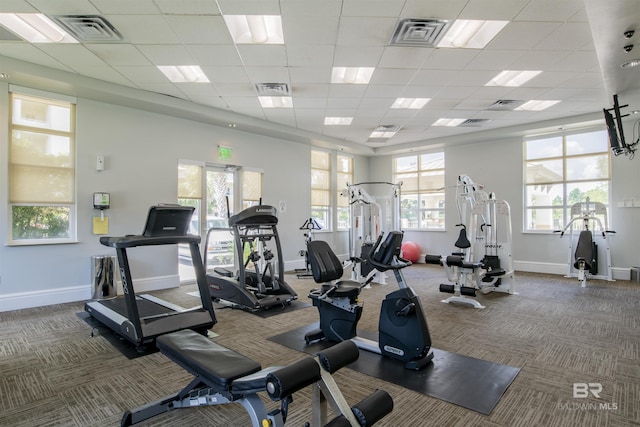 608 Lost Key Dr Unit 705C, Pensacola, FL 32507 - exercise room featuring carpet, baseboards, and a paneled ceiling