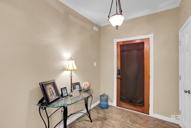 entrance foyer with ornamental molding and wood-type flooring