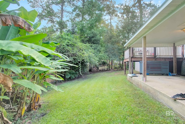 view of yard featuring a patio area