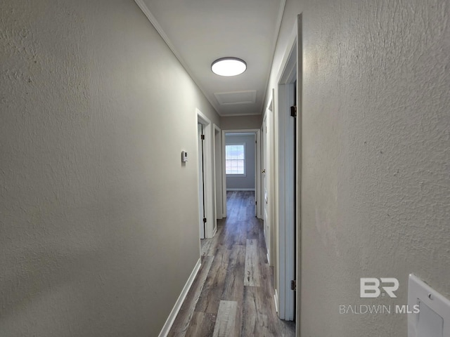 114 Spruce Ave, Brewton, AL 36426 - corridor with wood finished floors, attic access, baseboards, and a textured wall