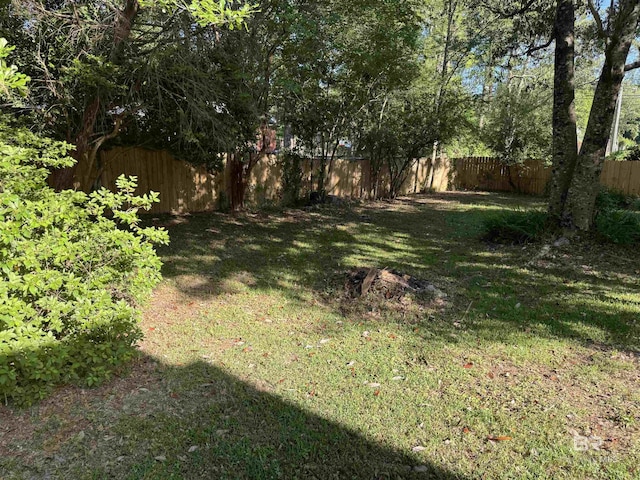 view of yard featuring a fenced backyard