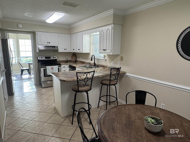 kitchen featuring a sink, a peninsula, under cabinet range hood, stainless steel appliances, and white cabinetry