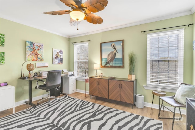 office space with crown molding, baseboards, light wood-type flooring, and ceiling fan