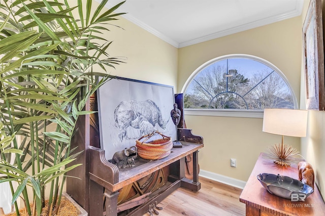 interior details featuring baseboards, wood finished floors, and ornamental molding