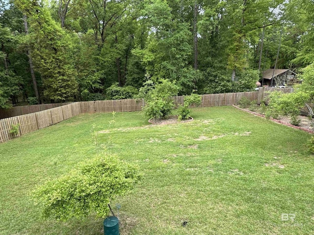 view of yard with a fenced backyard