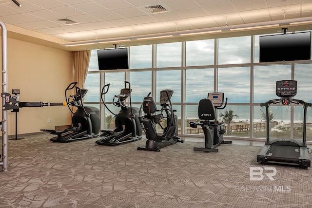 gym featuring a wealth of natural light, expansive windows, and carpet floors