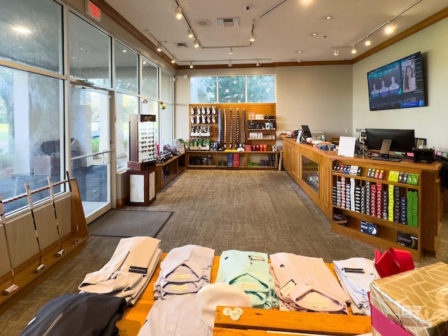 rec room with carpet flooring and visible vents