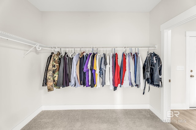 walk in closet with carpet floors