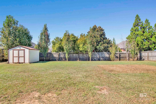 view of yard with a shed