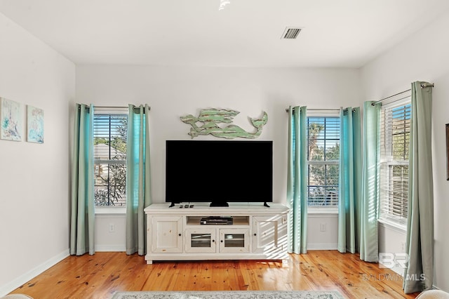 living room with light hardwood / wood-style floors and a wealth of natural light