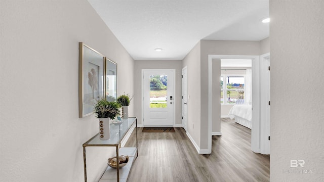 entrance foyer with a textured ceiling, light hardwood / wood-style flooring, and a wealth of natural light