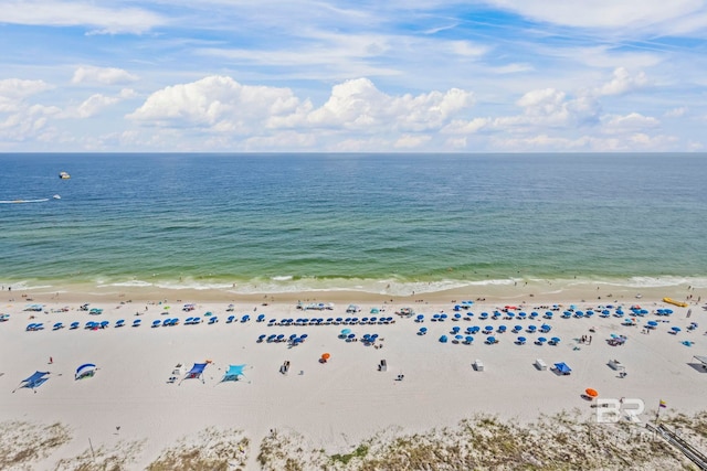521 W Beach Blvd Unit 1702, Gulf Shores, AL 36542 - water view featuring nearby beach