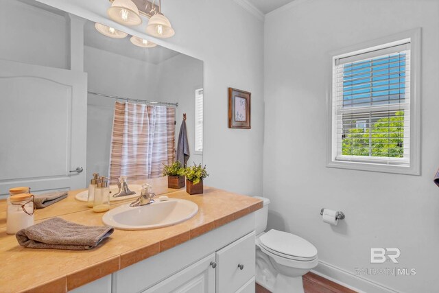 25806 Pollard Rd Unit 204, Daphne, AL 36526 - full bath with vanity, a shower with curtain, and ornamental molding